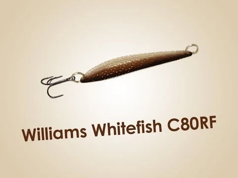 Обзор блесны Williams Whitefish C80RF