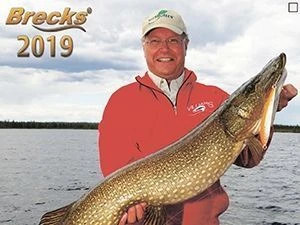 Новый каталог блесен Williams 2019 года