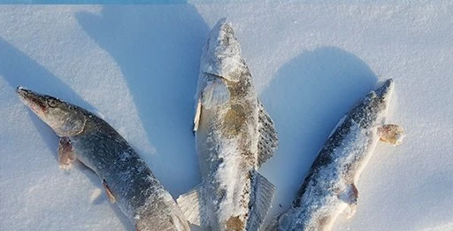 Рыбалка зимой