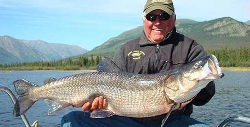 Блесна на белорыбицу