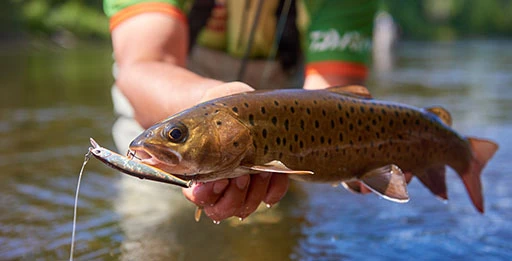 Блесна на ленка