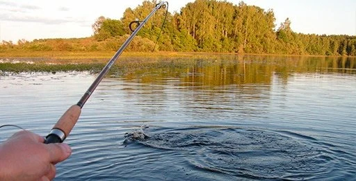Рыбалка на открытой воде
